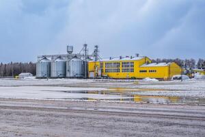 agroindustrial complejo con silos y un semilla limpieza y el secado línea para grano almacenamiento en nieve de invierno campo foto