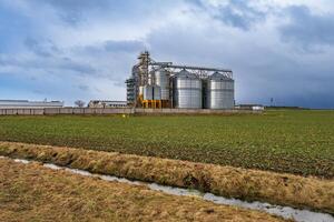 agroindustrial complejo con silos y un semilla limpieza y el secado línea para grano almacenamiento en nieve de invierno campo foto