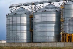 silos y agroprocesamiento planta para Procesando para el secado limpieza y almacenamiento y semilla preparación complejo foto