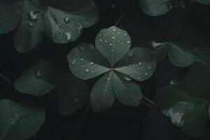 AI generated Four-leaf clover with drops. Neural network AI generated photo