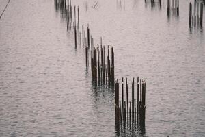 The foundation of an unfinished building filled with water photo