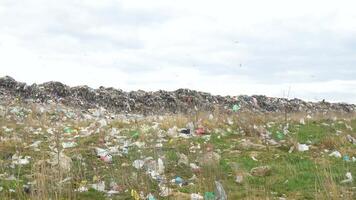 a enorme lixo despejo em a arredores, a ecológico desastre do planeta video