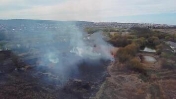 aereo Visualizza di grande Fumo nuvole e fuoco su il campo. vicino su Visualizza di macchia d'olio, diffusione fiamme di foresta fuoco video