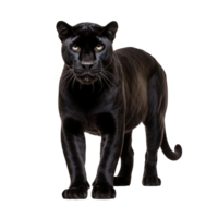 ai generiert Panther Clip Kunst png