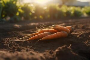 AI generated Ripe carrots harvested at a vegetable farm. carrot harvest and cultivation concept. Neural network AI generated photo