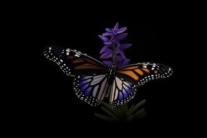 AI generated monarch butterfly on flower. Neural network AI generated photo