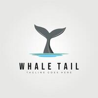 whale tail logo vector illustration design