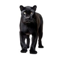 ai generiert Panther Clip Kunst png