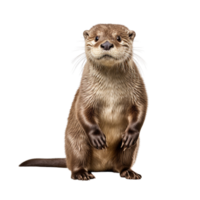 AI generated Otter clip art png