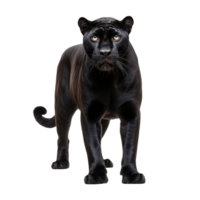 ai generiert Panther Clip Kunst png