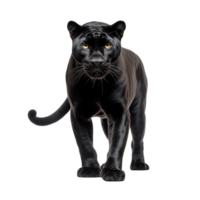 AI generated Panther clip art png