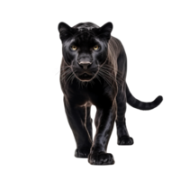 ai generiert Panther Clip Kunst png