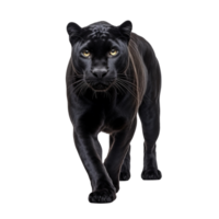 AI generated Panther clip art png