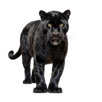 AI generated Panther clip art png