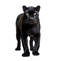 AI generated Panther clip art png