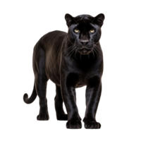 AI generated Panther clip art png