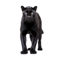 AI generated Panther clip art png