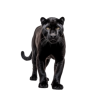 ai generiert Panther Clip Kunst png