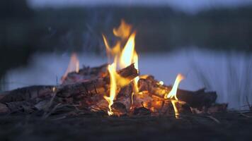 A fire burns on the shore of a forest lake. Calm and relaxation concept. video