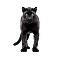 AI generated Panther clip art png