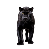 AI generated Panther clip art png