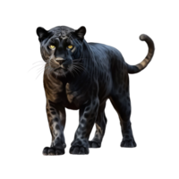 AI generated Panther clip art png