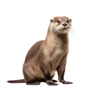 AI generated Otter clip art png