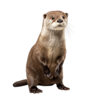 AI generated Otter clip art png