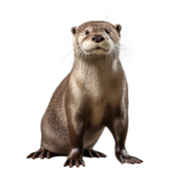 ai généré loutre agrafe art png