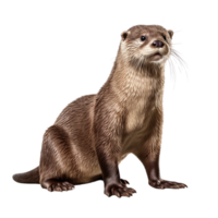 ai généré loutre agrafe art png