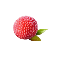 ai généré litchi agrafe art png