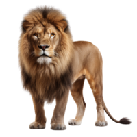 AI generated Lion clip art isolated png