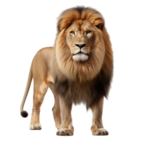 AI generated Lion clip art isolated png