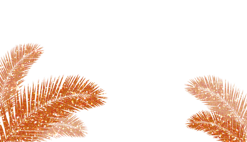palma hojas rojo Brillantina antecedentes. palma hojas en transparente antecedentes. diseño para decoración, fondo, fondo de pantalla, ilustración png