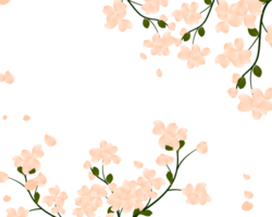 printemps floral arrière-plan, fleur branche Cadre. png