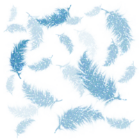 bleu plumes briller sur transparent background.design pour décoration, arrière-plan, fond d'écran, illustration png