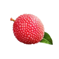 ai généré litchi agrafe art png