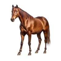 ai gegenereerd paard klem kunst png