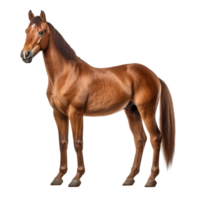 ai généré cheval agrafe art png