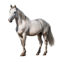 ai gegenereerd paard klem kunst png