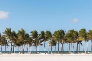 AI generated palm trees on the seashore. Beautiful topical beach. Neural network AI generated photo