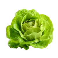 AI generated Green lettuce clip art png