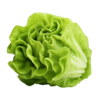 AI generated Green lettuce clip art png