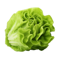 ai generado verde lechuga acortar Arte png