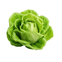 ai généré vert salade agrafe art png