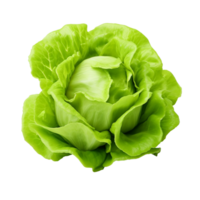 AI generated Green lettuce clip art png