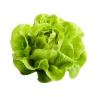 AI generated Green lettuce clip art png