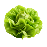 ai généré vert salade agrafe art png