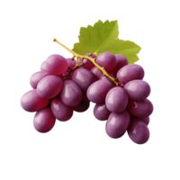 AI generated Grapes clip art png