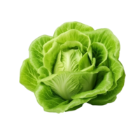 ai generado verde lechuga acortar Arte png